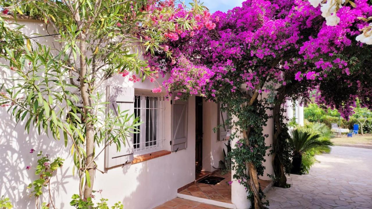 Villa Provencale A Sainte Maxime, Golf De Saint Tropez ภายนอก รูปภาพ