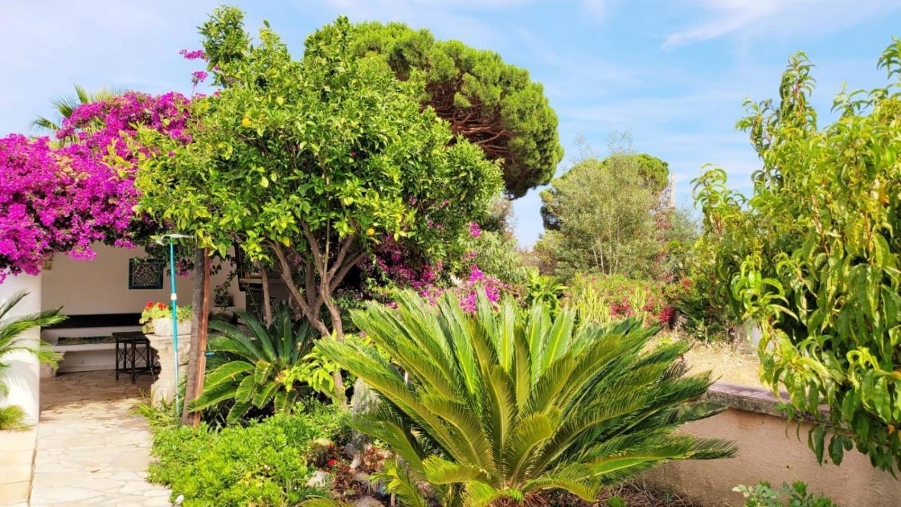 Villa Provencale A Sainte Maxime, Golf De Saint Tropez ภายนอก รูปภาพ
