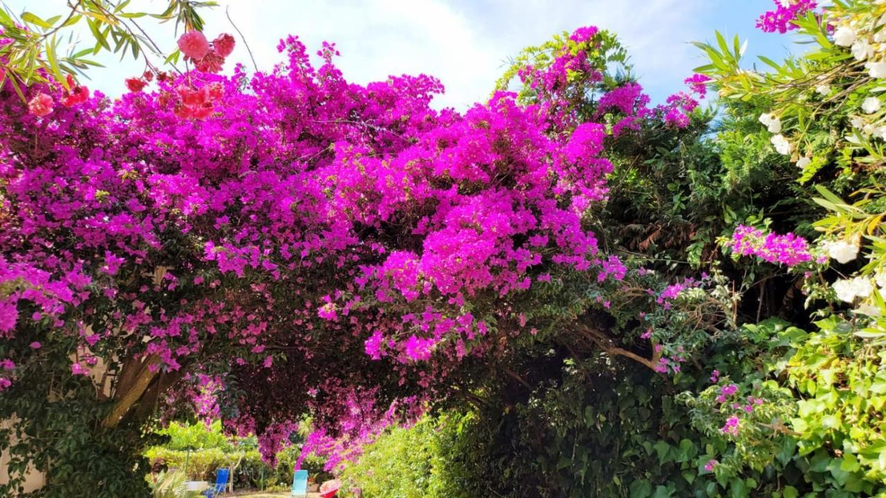 Villa Provencale A Sainte Maxime, Golf De Saint Tropez ภายนอก รูปภาพ