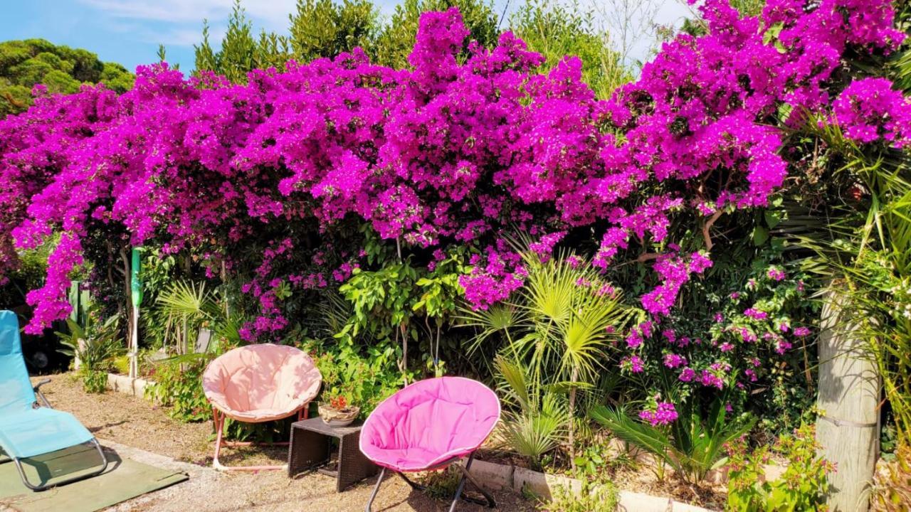 Villa Provencale A Sainte Maxime, Golf De Saint Tropez ภายนอก รูปภาพ