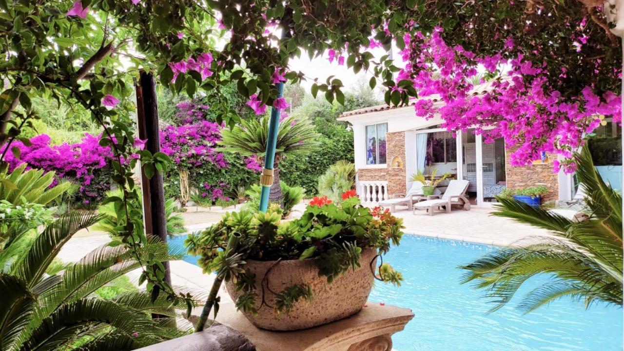 Villa Provencale A Sainte Maxime, Golf De Saint Tropez ภายนอก รูปภาพ