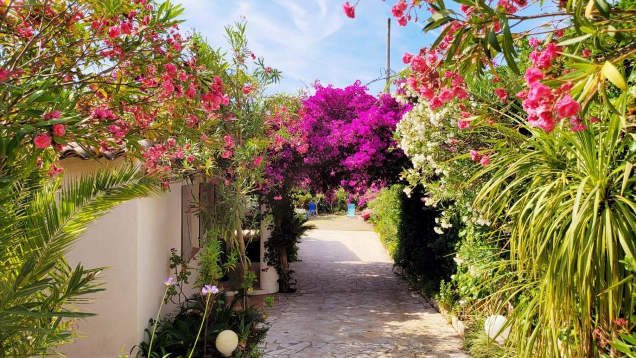 Villa Provencale A Sainte Maxime, Golf De Saint Tropez ภายนอก รูปภาพ