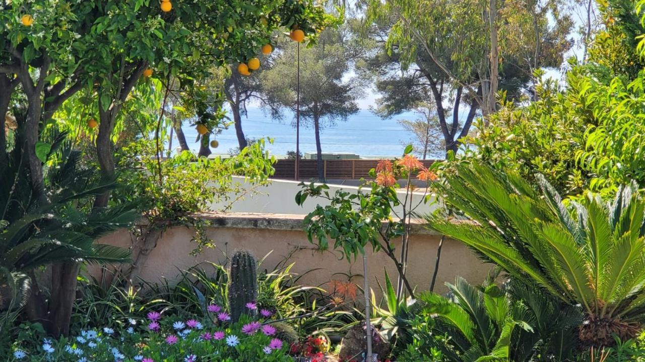 Villa Provencale A Sainte Maxime, Golf De Saint Tropez ภายนอก รูปภาพ