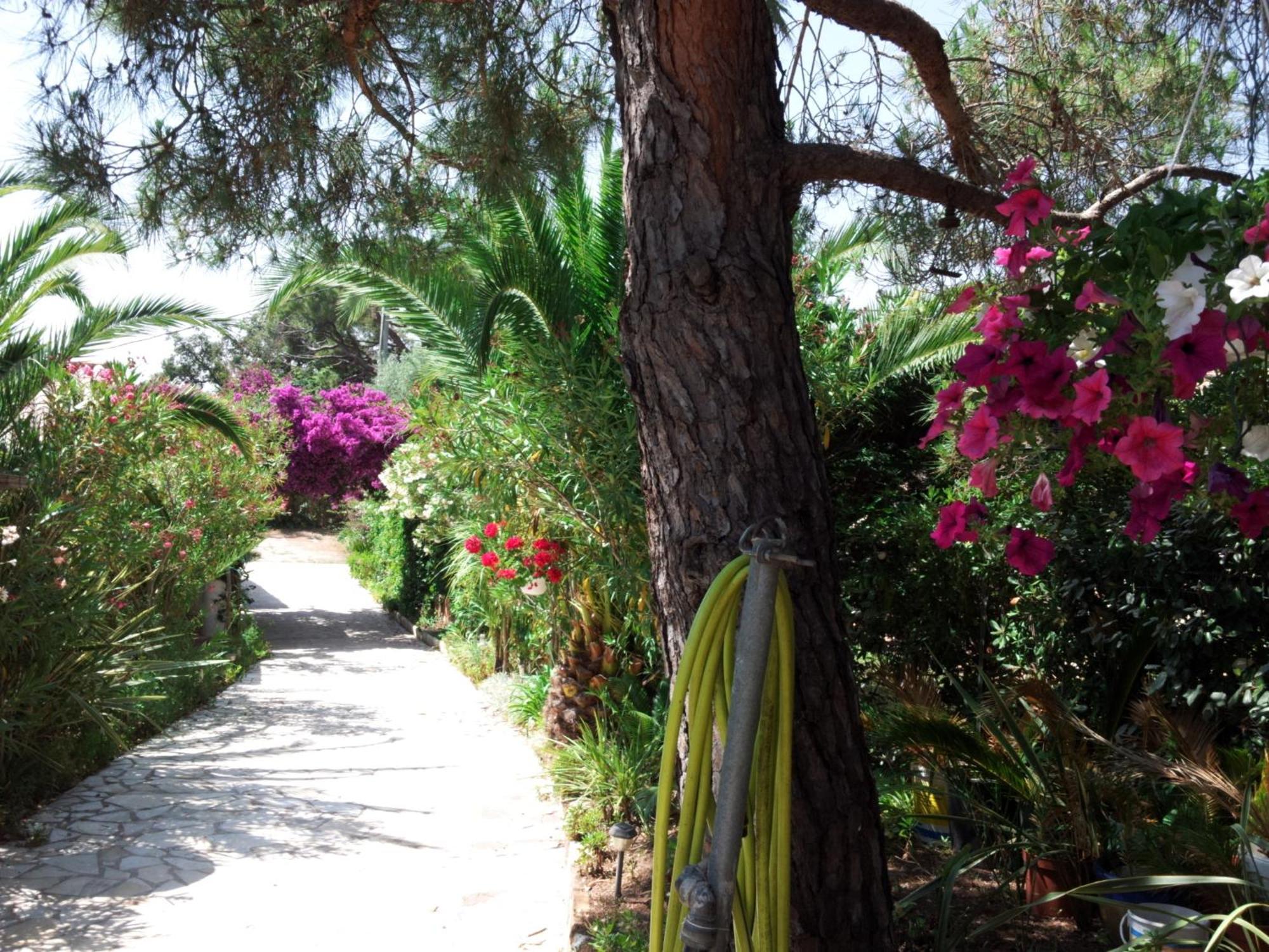 Villa Provencale A Sainte Maxime, Golf De Saint Tropez ภายนอก รูปภาพ