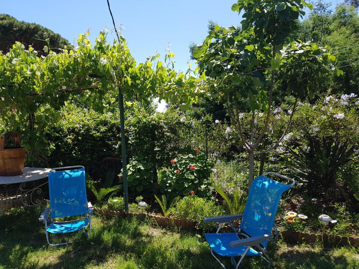 Villa Provencale A Sainte Maxime, Golf De Saint Tropez ภายนอก รูปภาพ